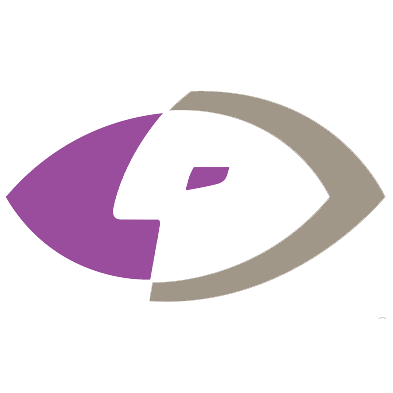 Vision Research logo